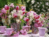Vases of Pink Tulips and Blossom on Table Laid for Coffee