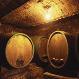 Wine Barrels of the Valdhuber Wine Estate  Svecina  Slovenia