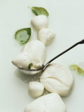 Mozzarella and Fresh Basil