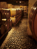 Barrique Cellar in Abbazia Di Rosazzo  Collio  Friuli