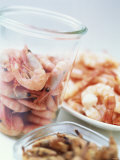 Common Shrimp  Busumer Shrimps and Gambas