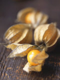 Four Cape Gooseberries (Physalis)