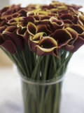 Red Calla Lilies in a Vase