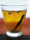 A Glass of Tea with Spices