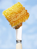 A Piece of Honeycomb on a Knife