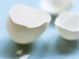 Eggshells