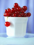 Redcurrants in a Small Pot