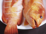 Strawberry Grouper