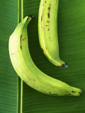 Two Plantains on a Banana Leaf