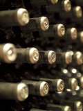 White Wine Bottles Maturing in a Cellar