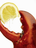 A Wedge of Lemon in a Lobster Claw