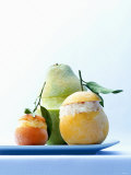 Citrus Fruit Granita with Tequila