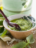 Pesto with Olive Oil in Small Bowl  Basil  Parmesan