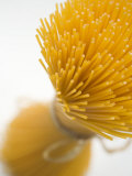 A Bundle of Spaghetti