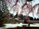Rock Garden  Shoho-Ji Temple  Japan