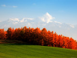 Autumn Landscape