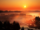 Rice Terrace at Dawn