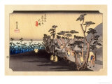 The 53 Stations of the Tokaido  Station 8: Oiso-juku  Kanagawa Prefecture
