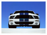 2007 Shelby GT500