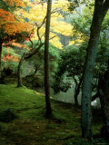 Garden of Moss in Saihoji Temple