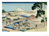 36 Views of Mount Fuji  no 44: The Tea Plantation of Katakura in the Suruga Province