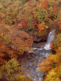 River and Autumn Leaves