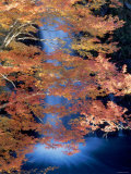 Waterfalls and Autumn Leaves