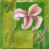 Cool Garden II