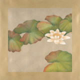 Lotus Impressions I