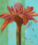 Exotica III