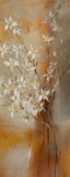 Misty Orchids II