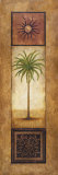 Palm In The Sunlight