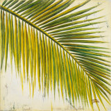 Baru Palm III