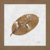 Beauty of Simplicity III