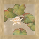 Lotus Impressions II