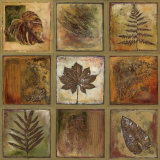 Leaf Square I