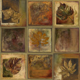 Leaf Square II