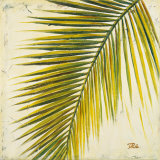 Baru Palm I