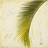 Baru Palm II