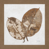 Beauty of Simplicity II