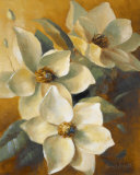 Magnolias Aglow at Sunset II