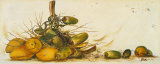 Racimo de Cocos III