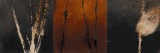 Autumn Compilations I