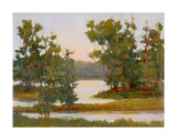 Evening Glow I