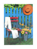 Summer in Provence