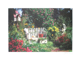 Secret Garden