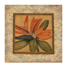 Exotic Beauty I