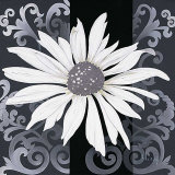Decor I
