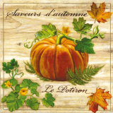 Saveurs de L'Automne  Le Potiron