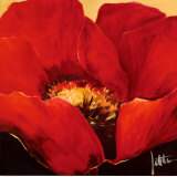 Red Beauty II